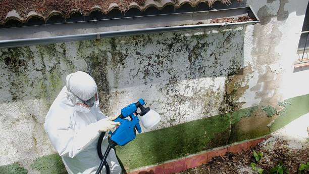 Mold Remediation service in Mont Clare, Mont Clare, PA